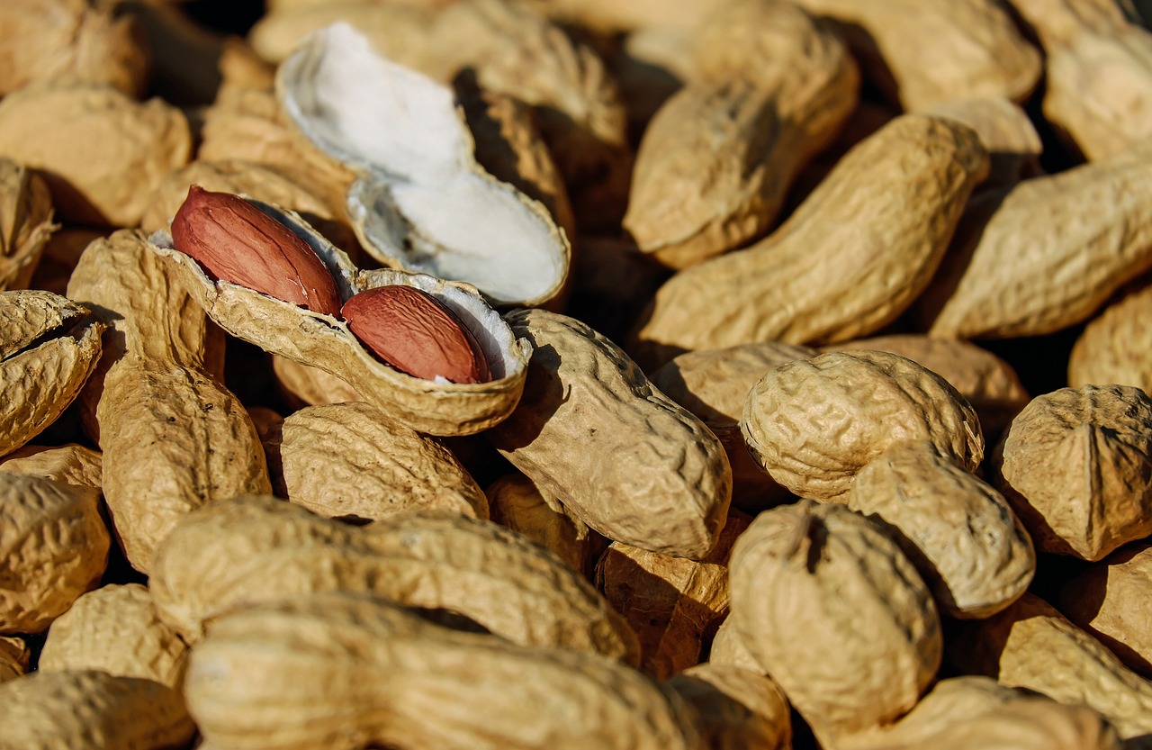 nuts, peanuts, roasted-1736520.jpg